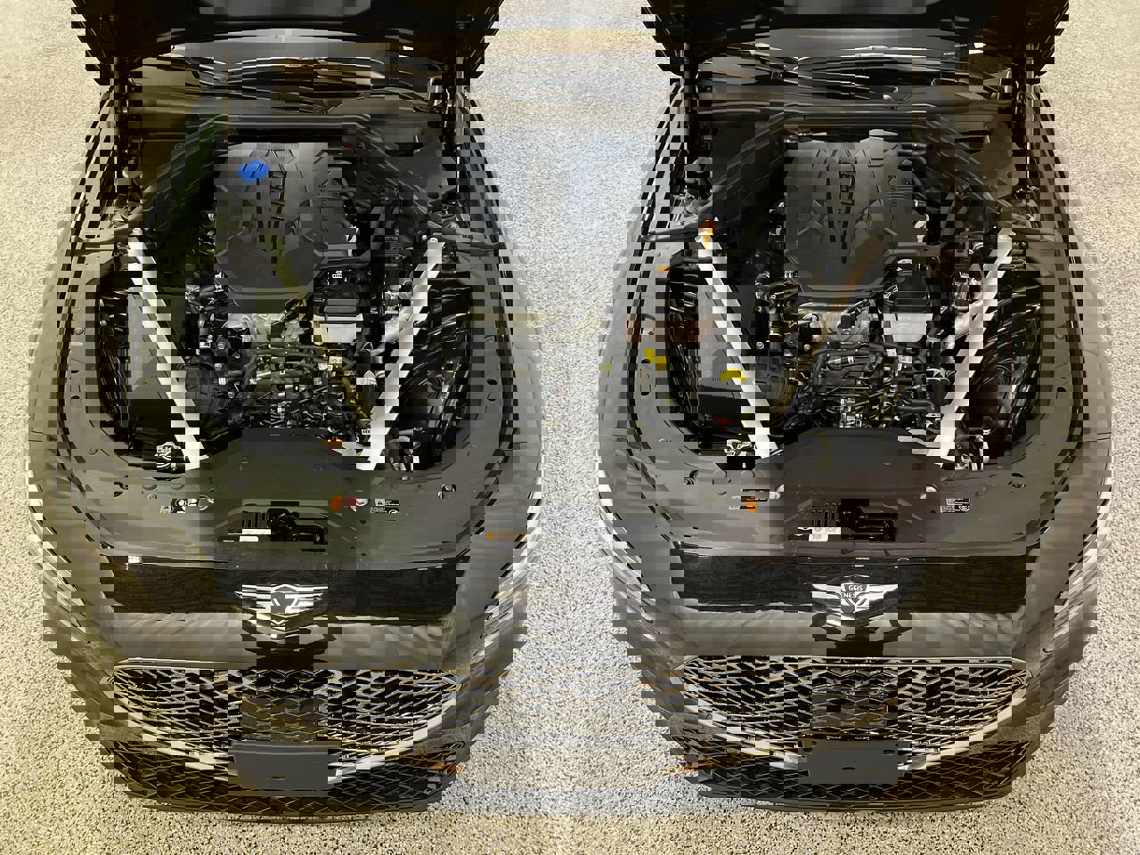 New 2026 Vik Black Genesis 2.5T Standard image 11