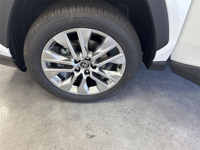 2025 Toyota RAV4 XLE Premium photo 13