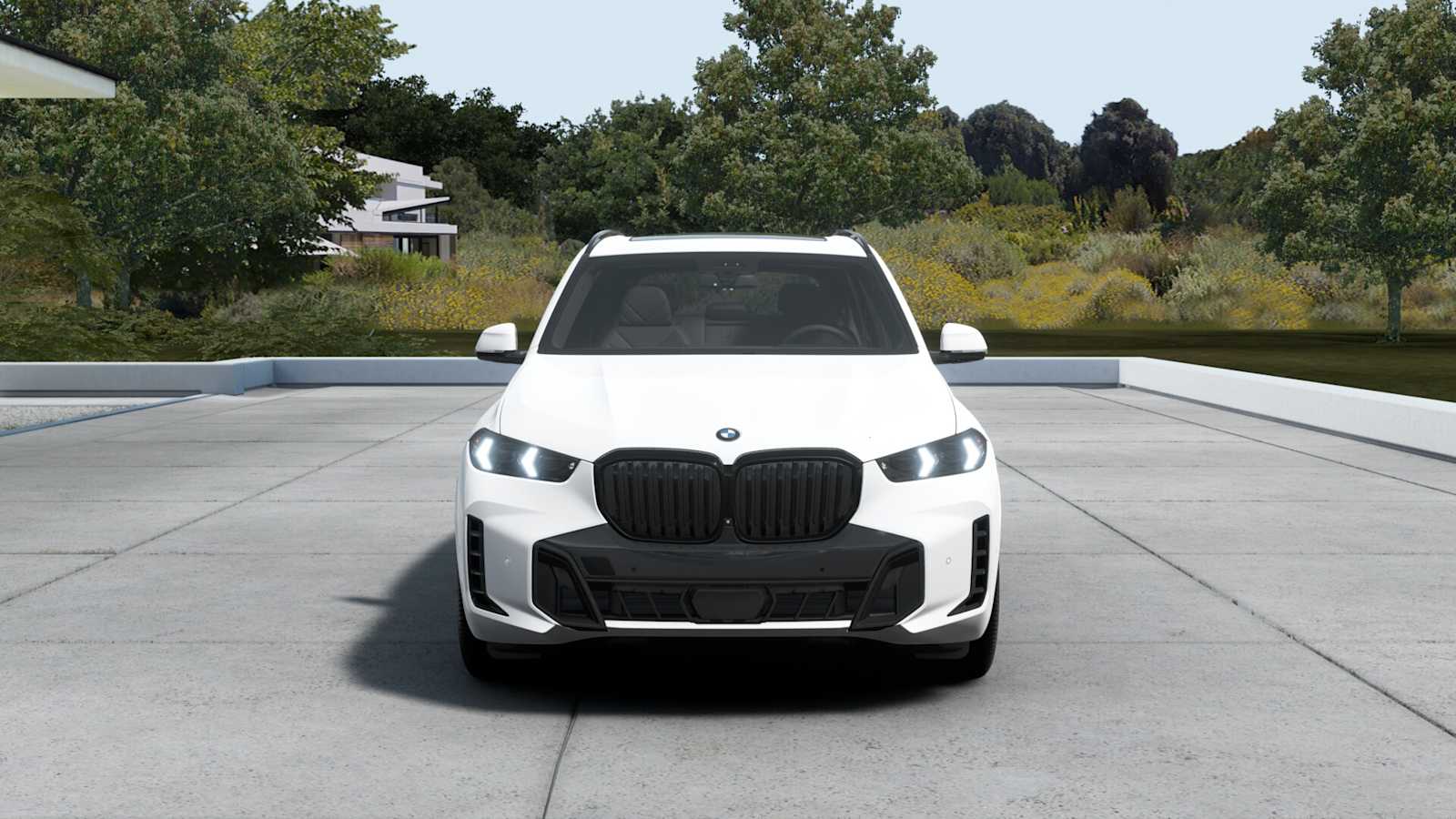 2026 Bmw X5 xDrive50e photo 3