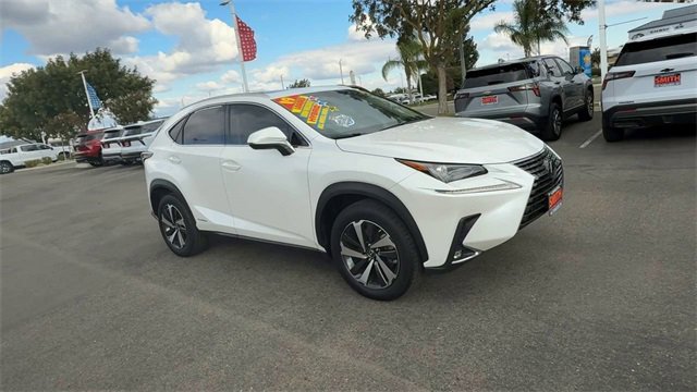 2019 Lexus NX Hybrid 300h's photo