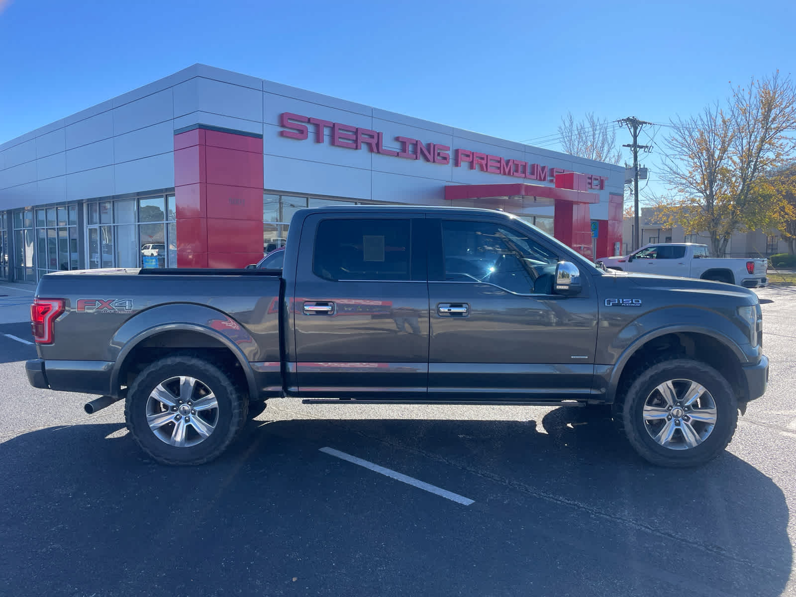 2015 Ford F-150 Platinum's photo