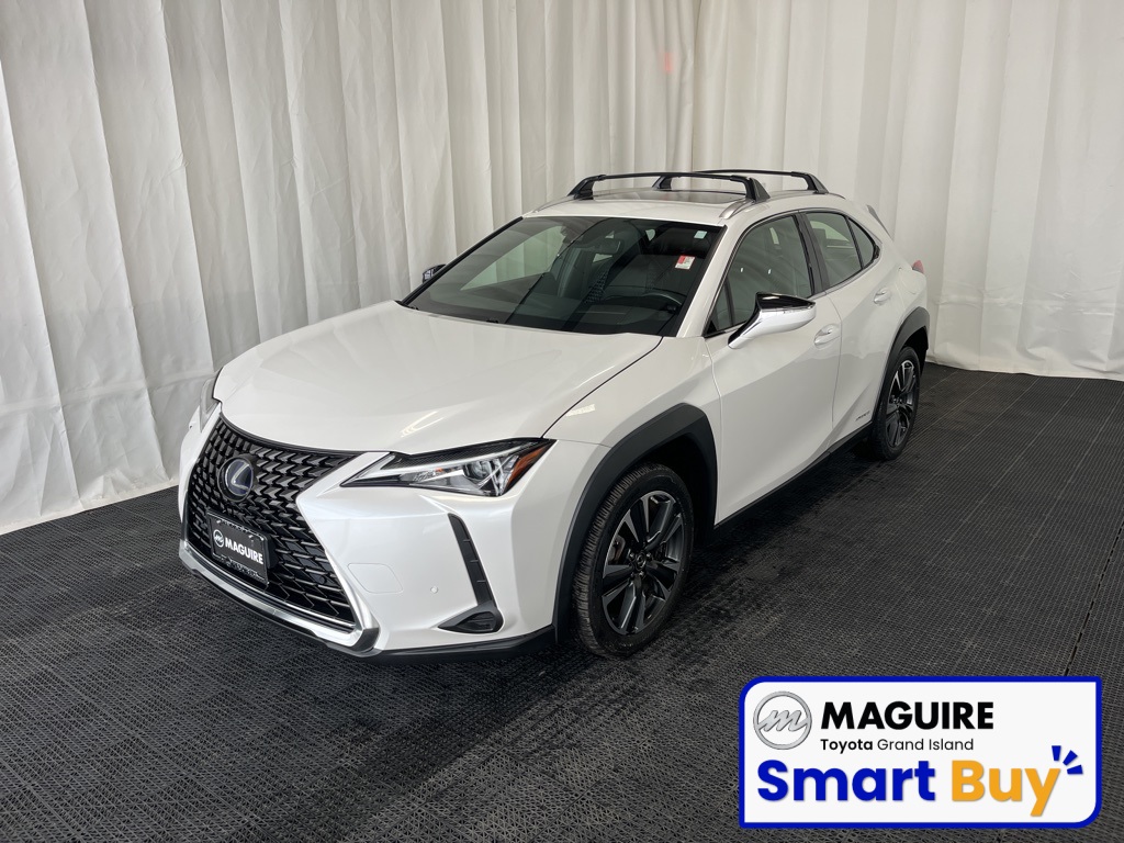 2019 Lexus UX Hybrid 250h's photo