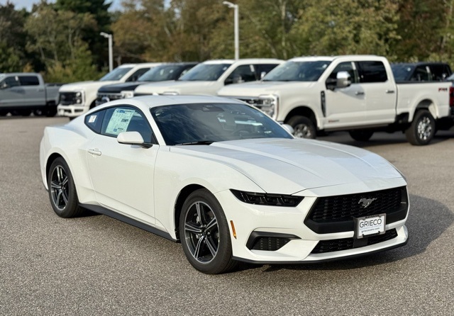 2025 Ford Mustang EcoBoost's photo