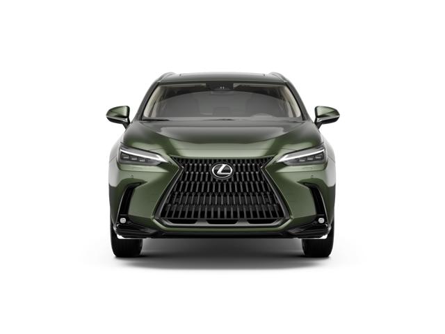 2026 Lexus NX 350h Luxury AWD photo 5