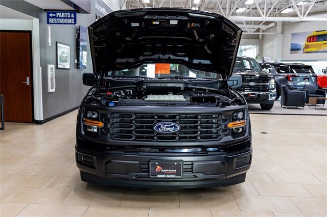 2025 Ford F-150 XL photo 3