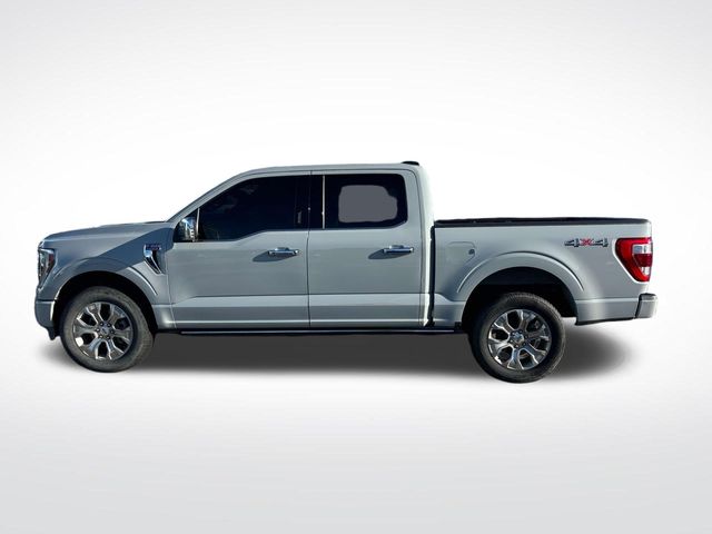 2023 Ford F-150 Platinum photo 2