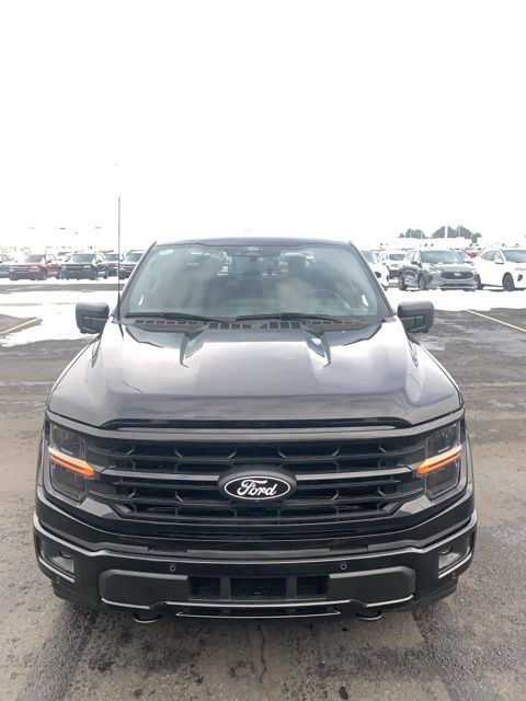 2025 Ford F-150 XLT photo 4