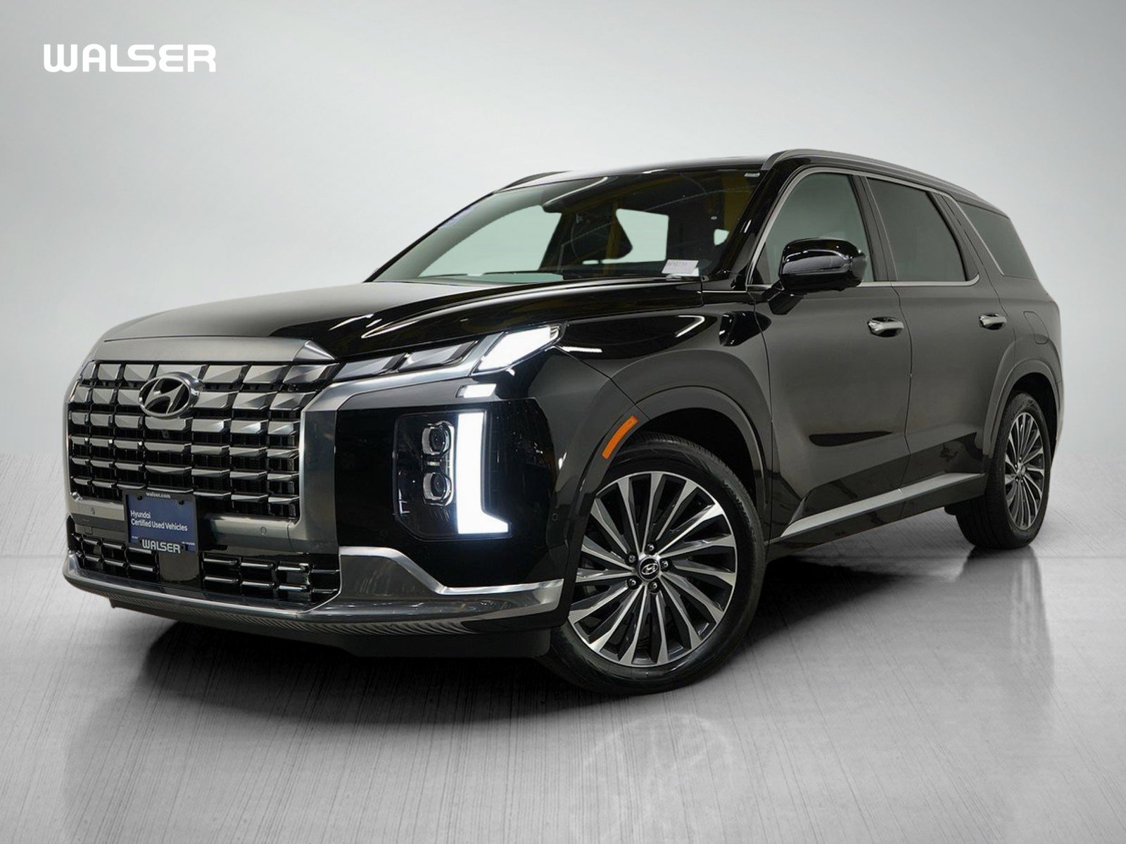 2025 Hyundai Palisade Calligraphy's photo