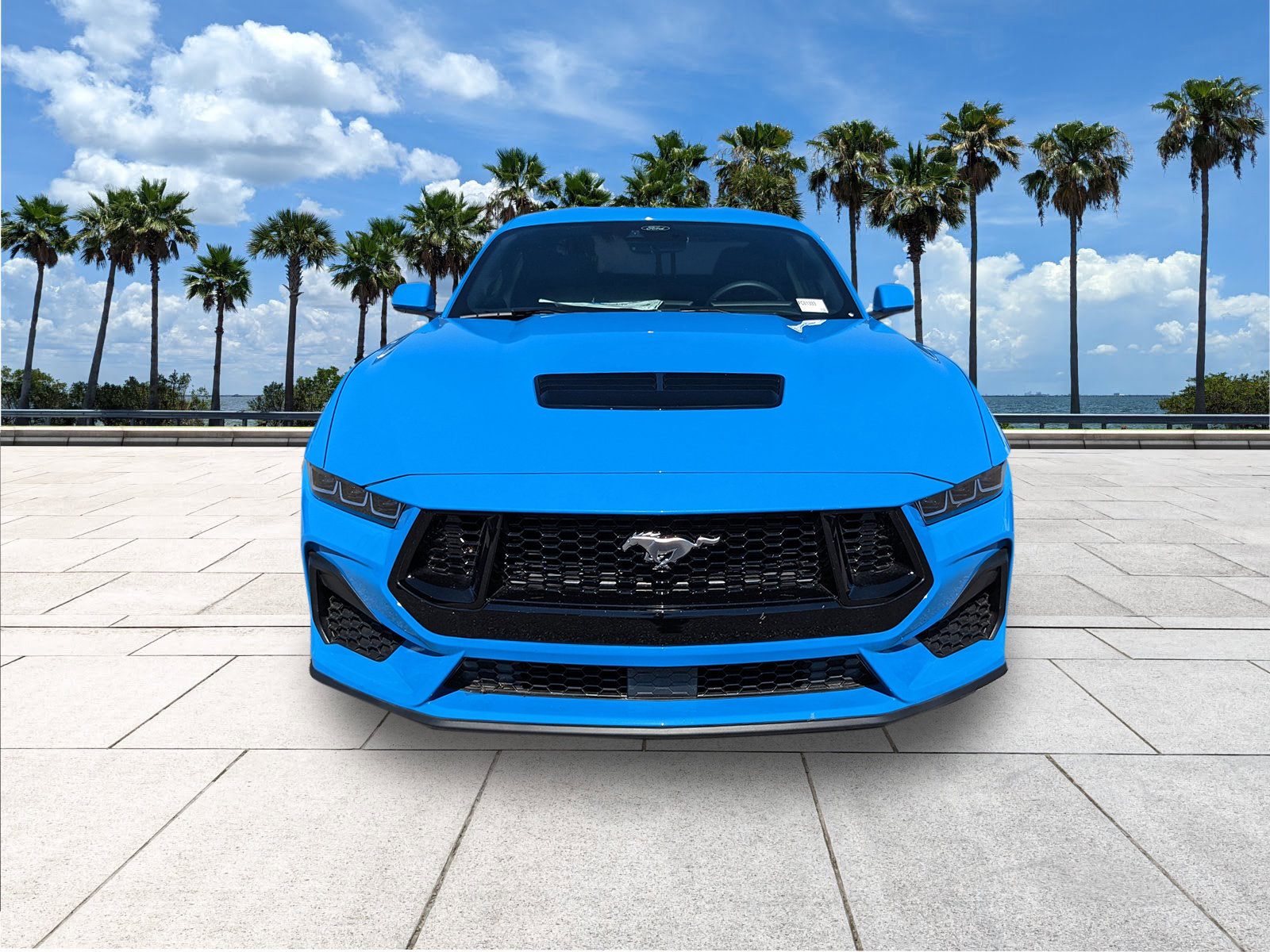 2025 Ford Mustang GT photo 3