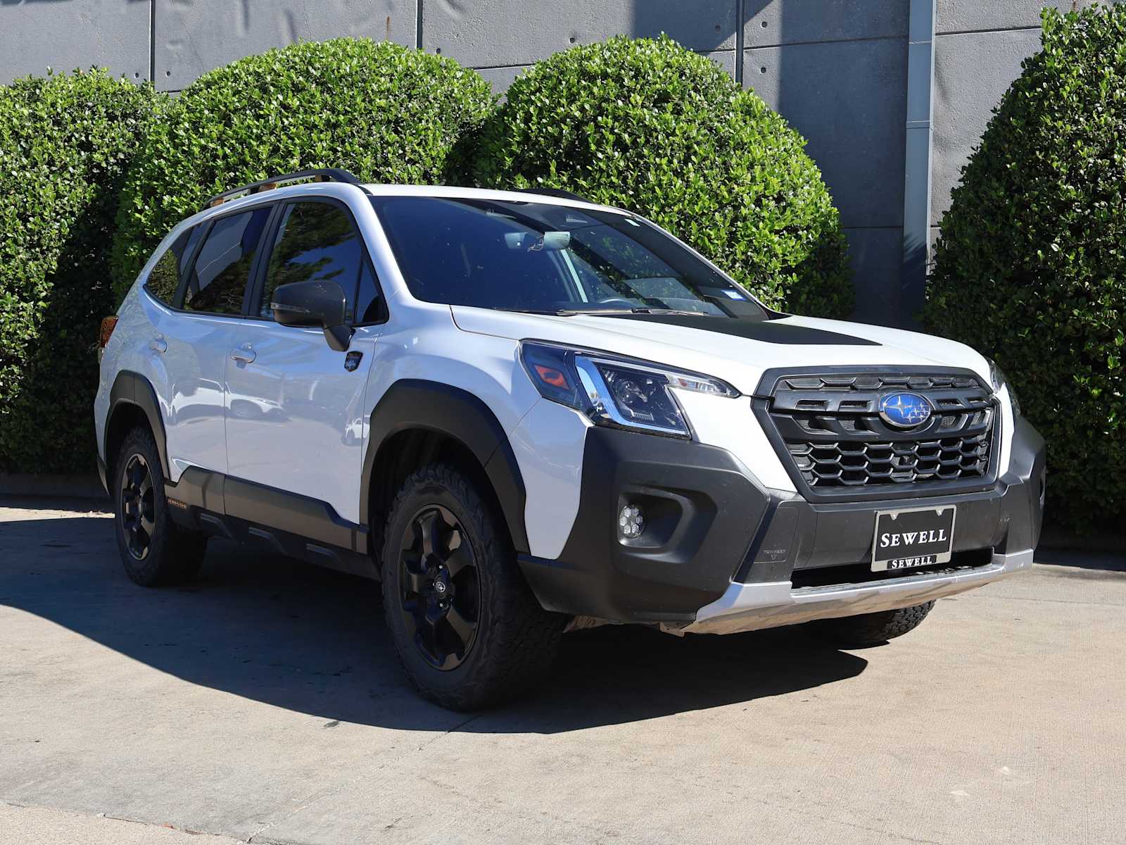 2024 Subaru Forester Wilderness photo 3