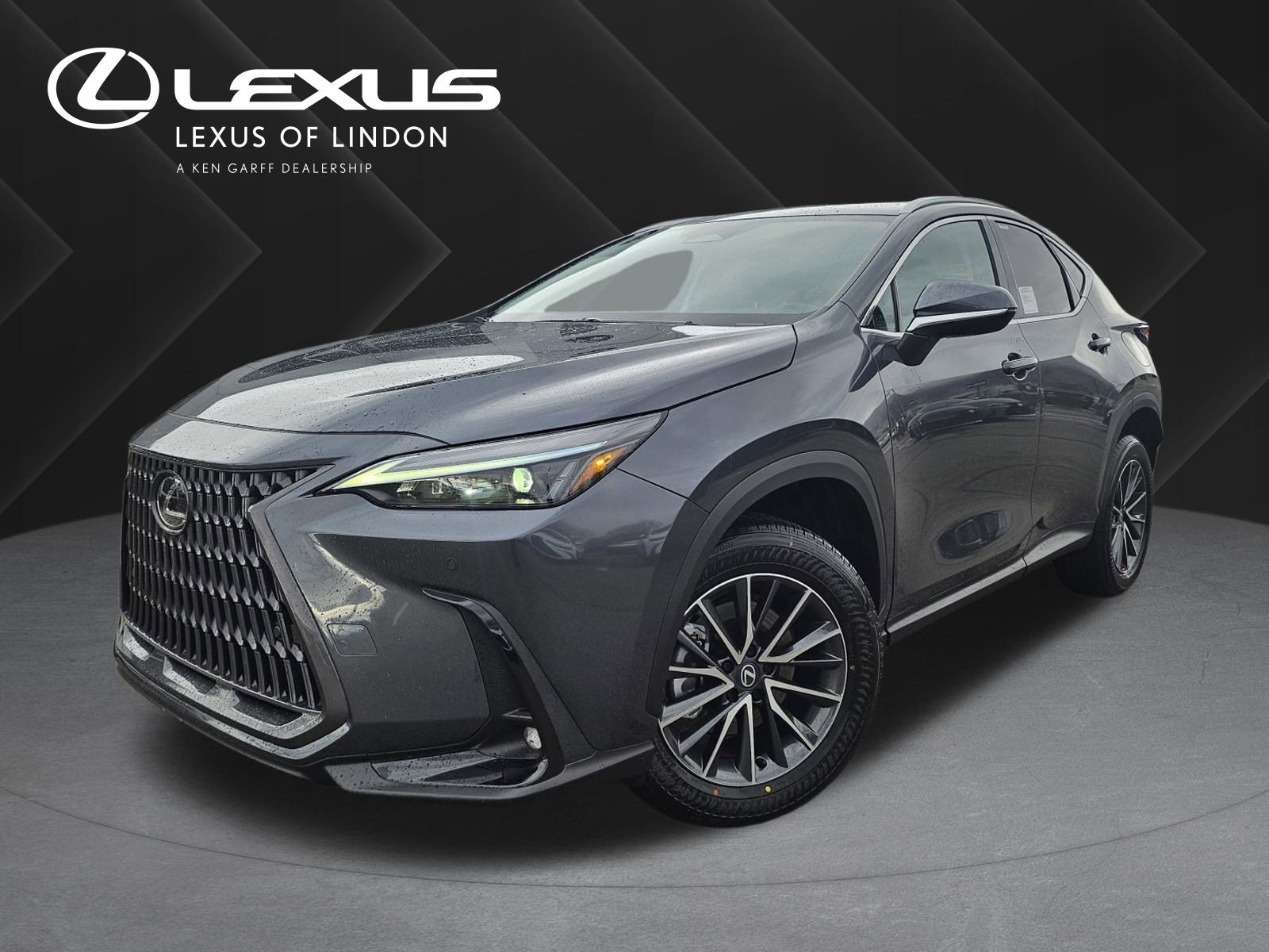2026 Lexus NX 350's photo