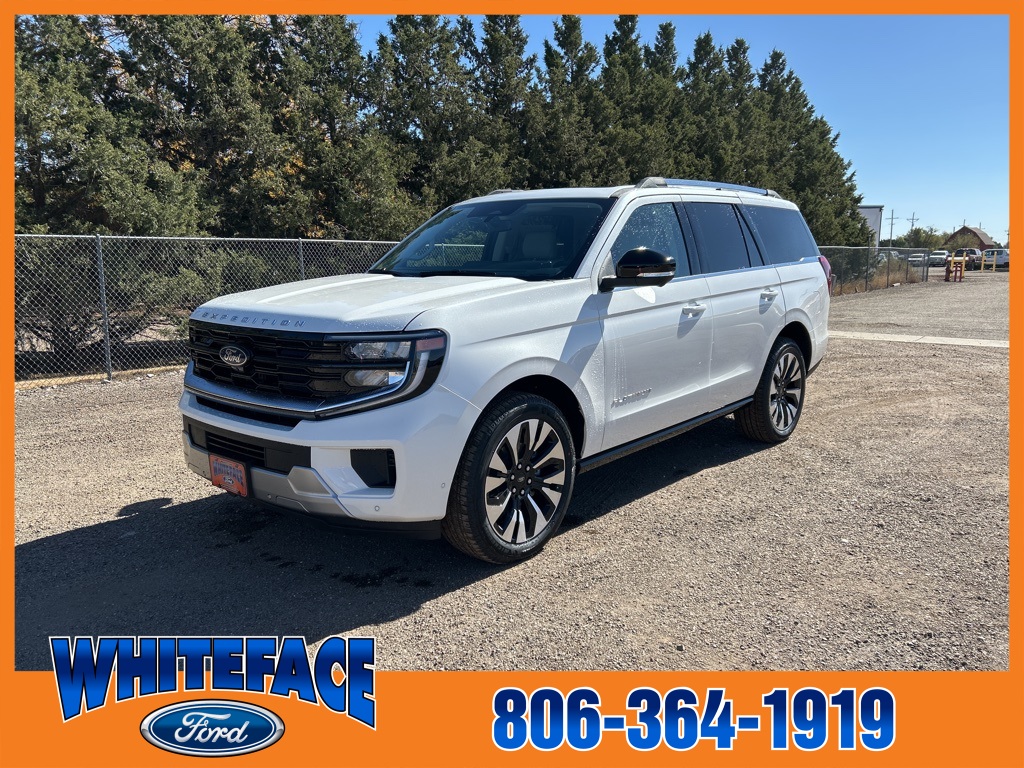 2025 Ford Expedition Platinum's photo