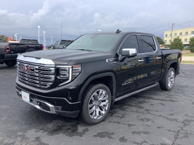 2025 Gmc Sierra 1500 Denali photo 3