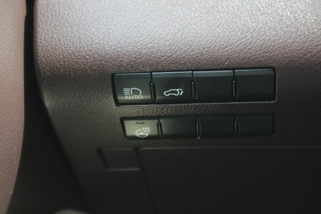 2019 Lexus RX 350L photo 16