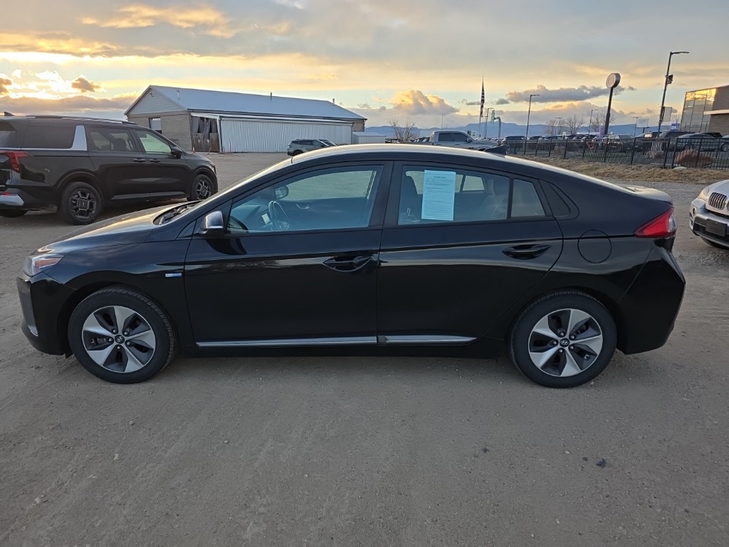 2019 Hyundai Ioniq Electric photo 2