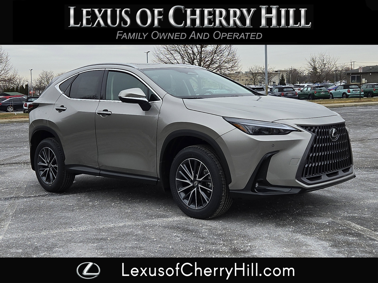 2026 Lexus NX 350's photo