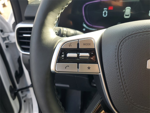 2025 Kia Telluride EX photo 11