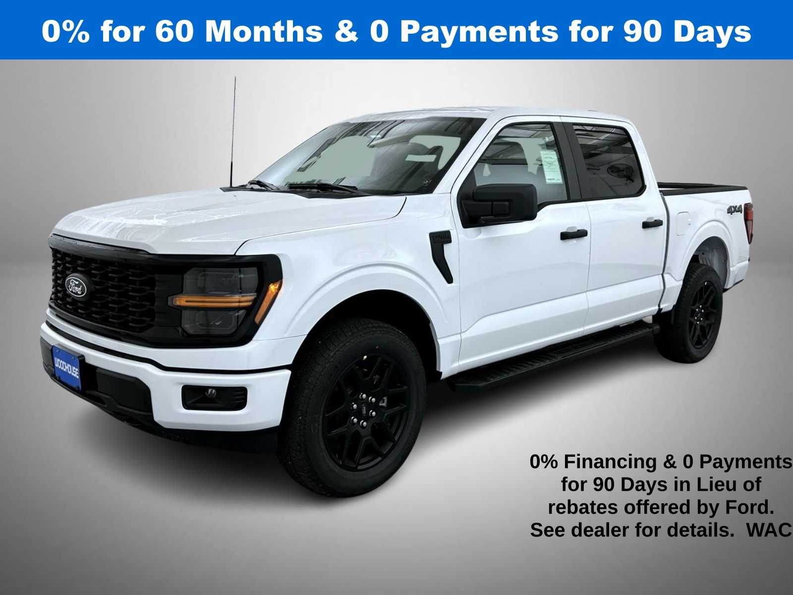 2025 Ford F-150 STX's photo
