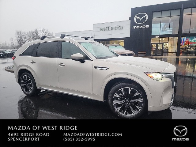 Festool Jigsaw Blade Set 25Pk - This IS Woodworking - View #6