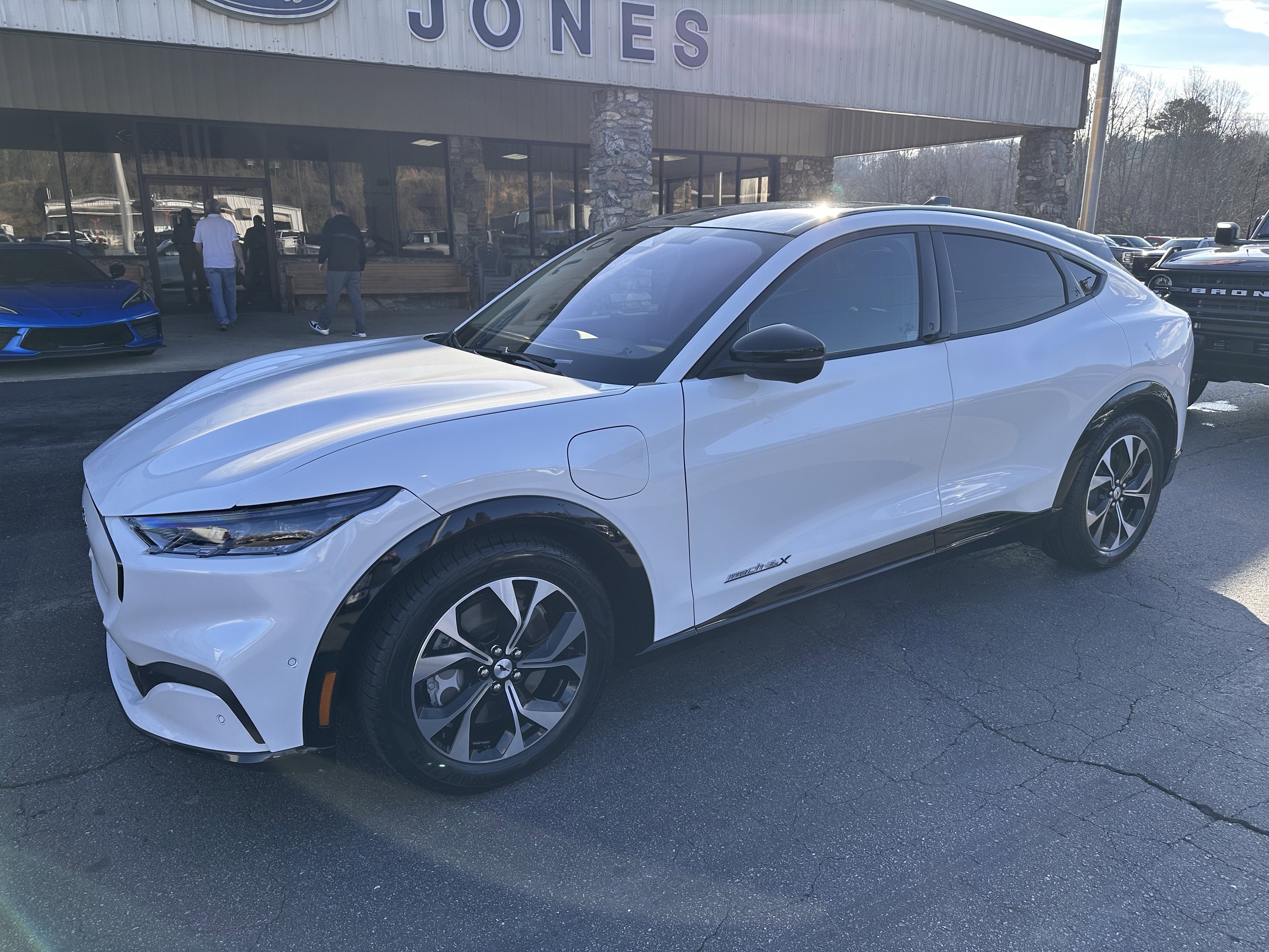 2021 Ford Mustang Mach-E Premium AWD's photo