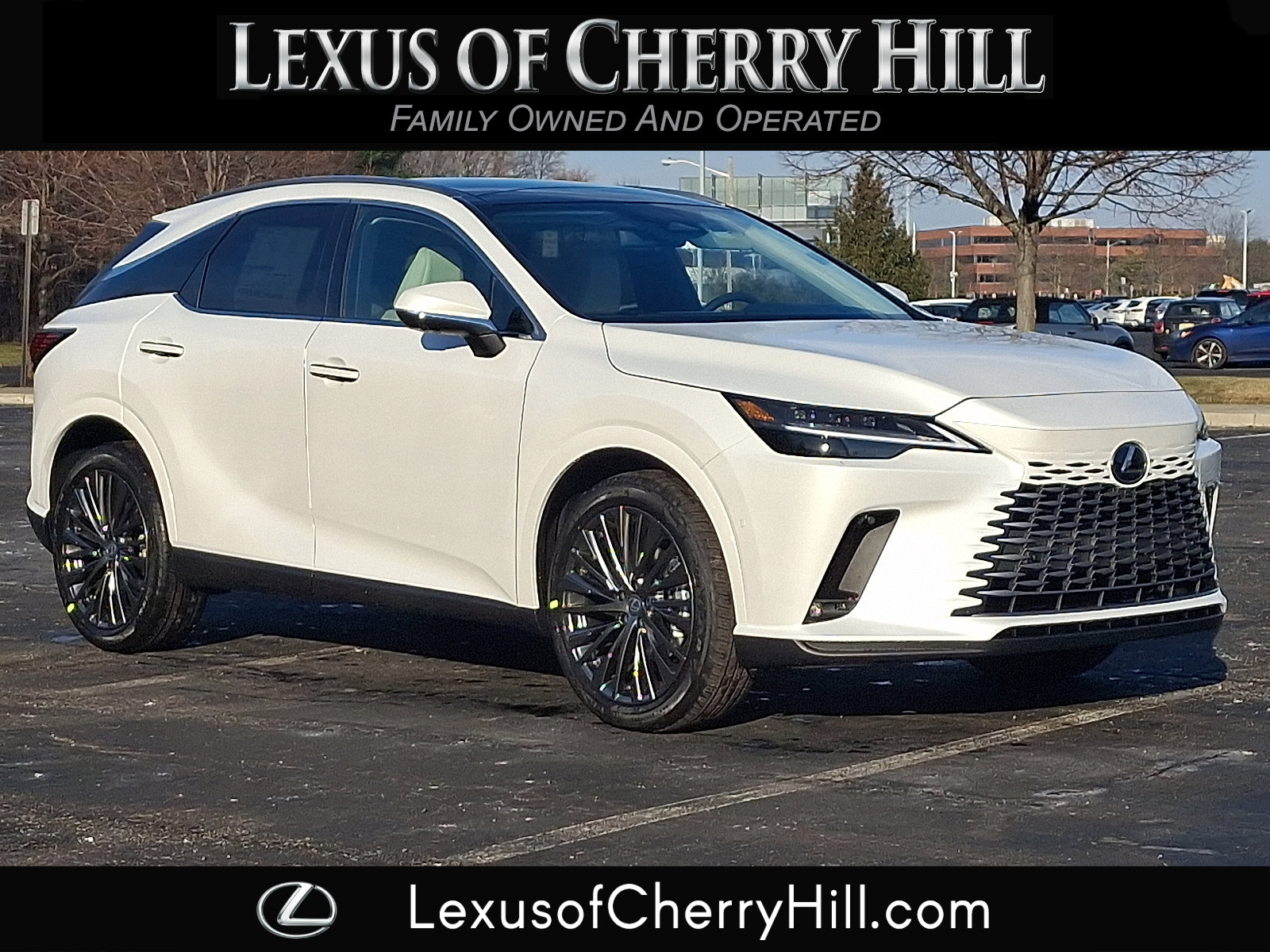 2026 Lexus RX Base's photo