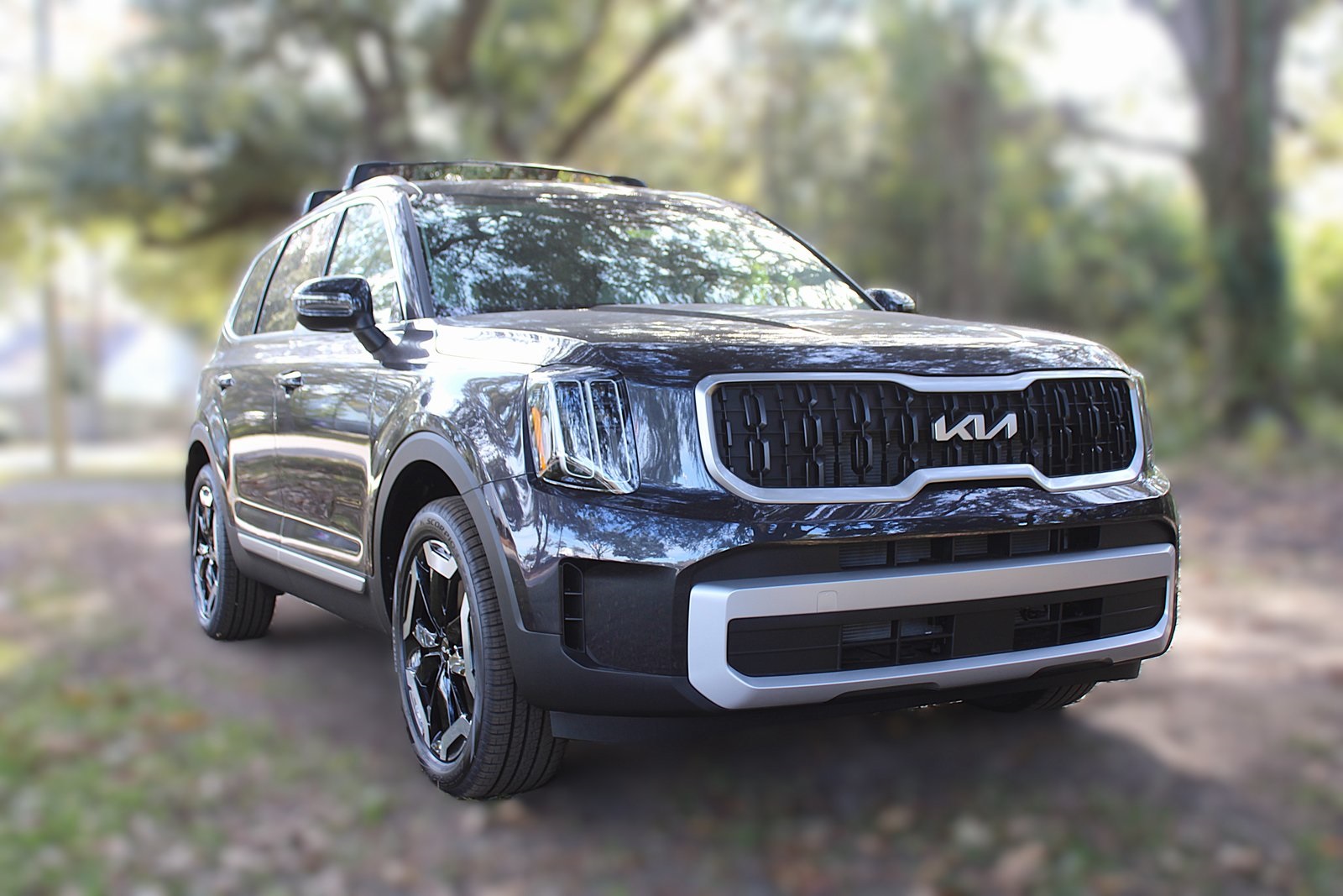 2025 Kia Telluride EX photo 2