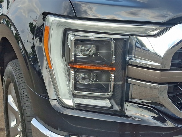 2021 Ford F-150 King Ranch photo 9