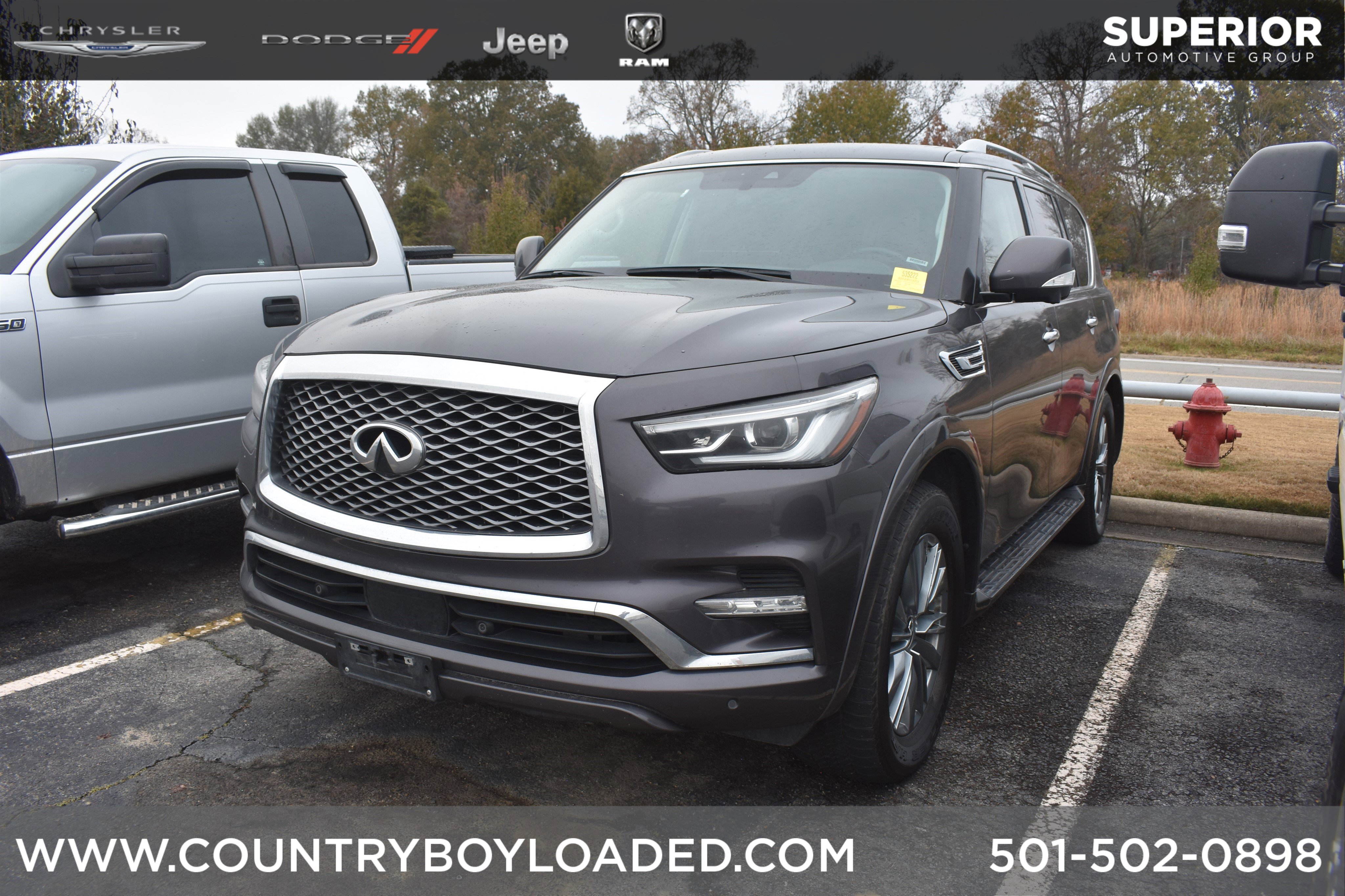 2024 INFINITI QX80's photo