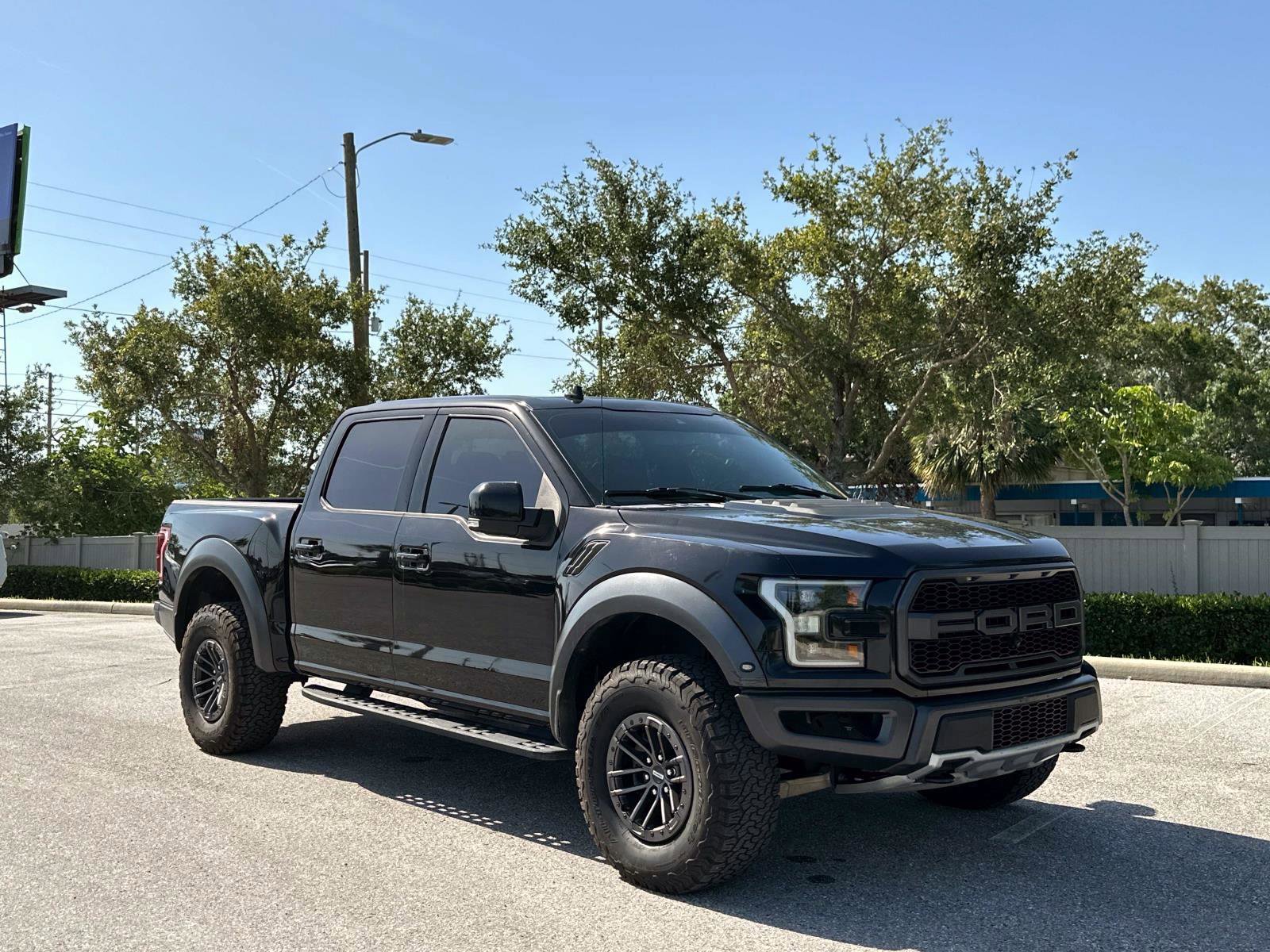 2019 Ford F-150 Raptor photo 2
