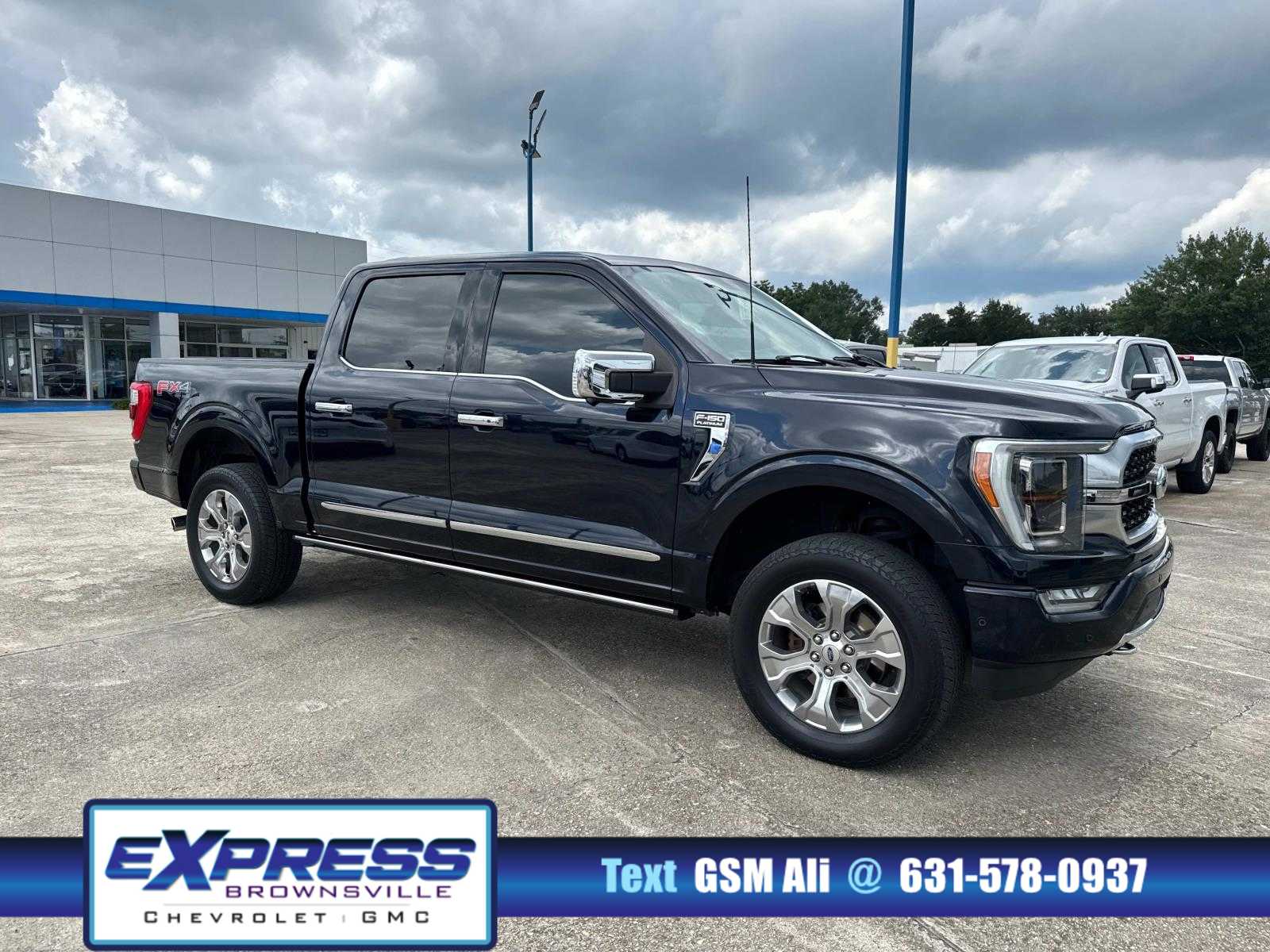 2021 Ford F-150 Platinum's photo