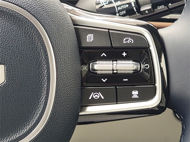 2026 Kia Carnival SX Prestige photo 31