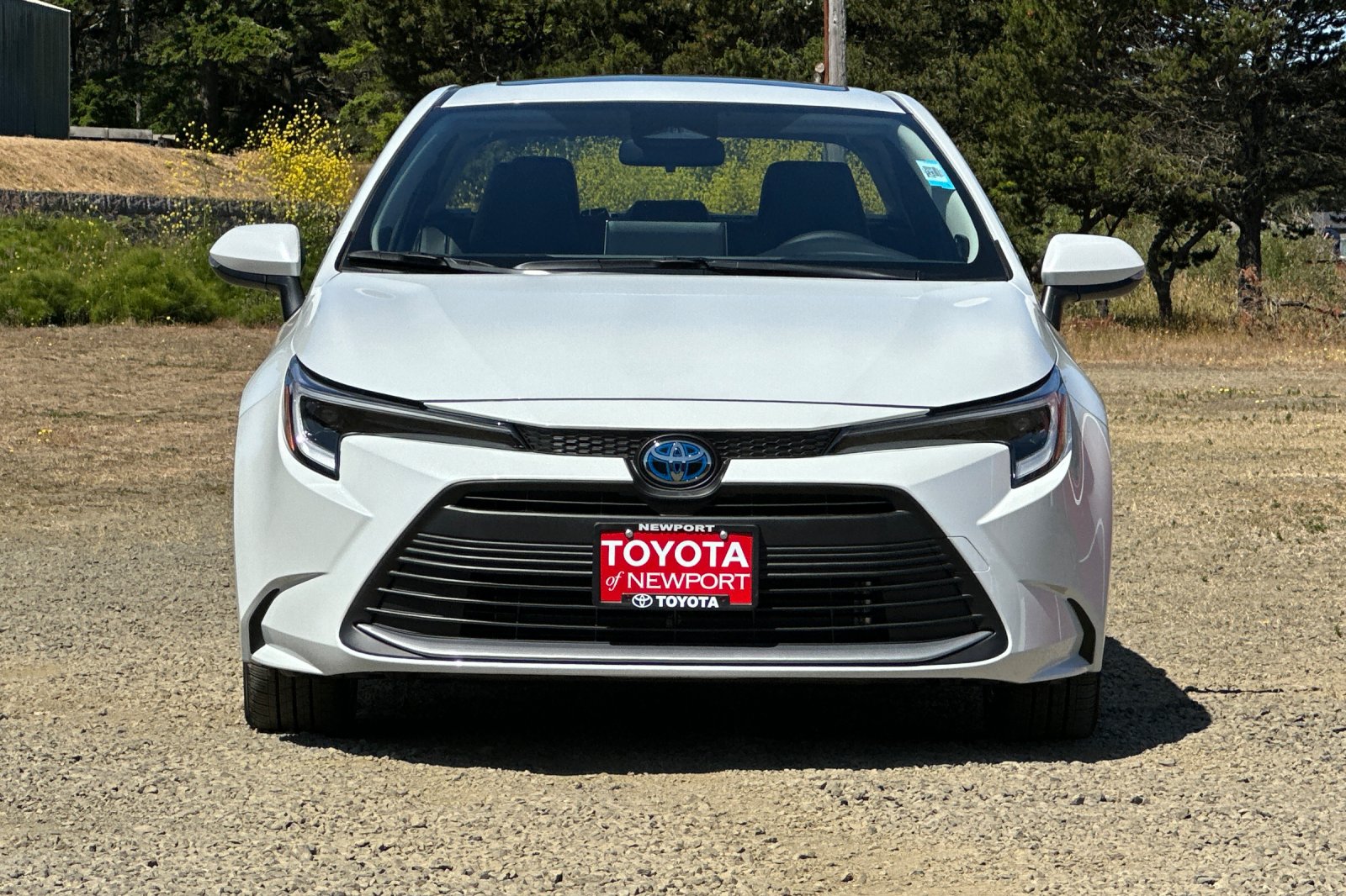 2025 Toyota Corolla Hybrid XLE photo 2