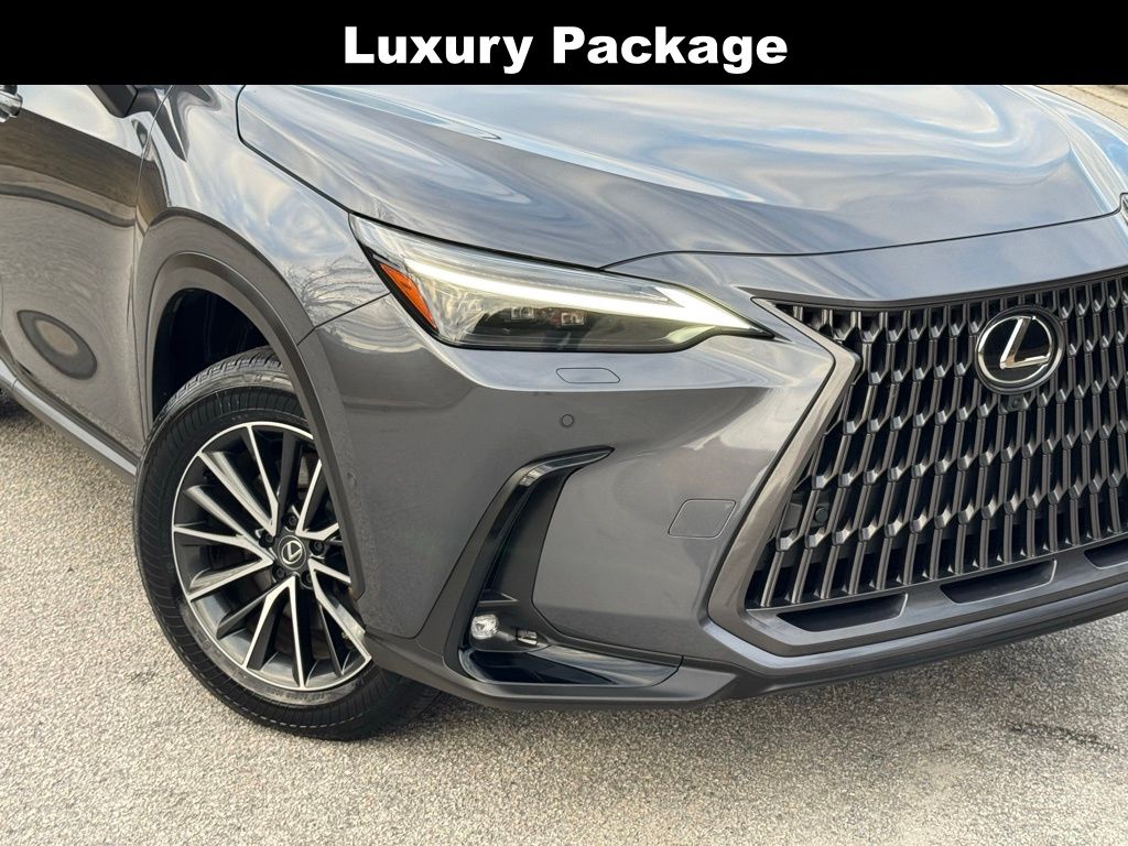 2024 Lexus NX 350h Luxury photo 2