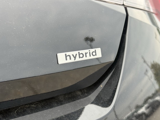 2025 Hyundai Elantra Hybrid SEL Sport photo 14