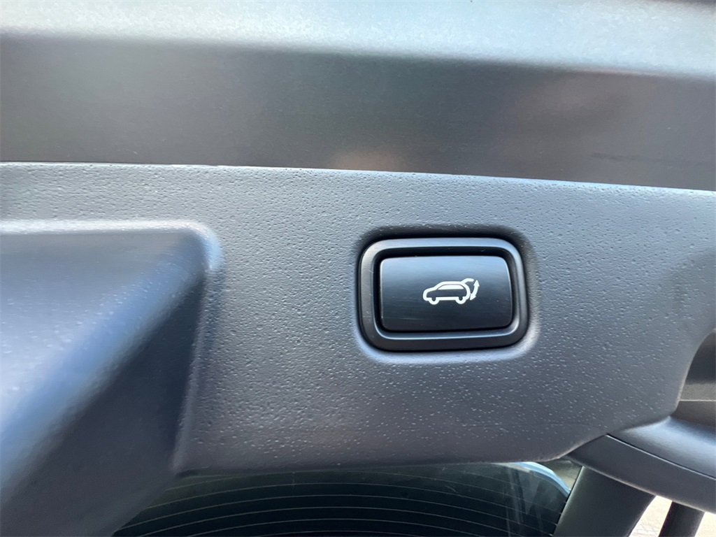 2024 Kia Niro EV Wave photo 33