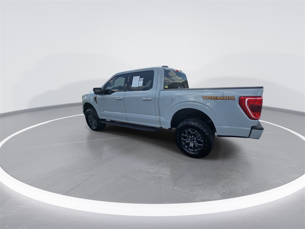 2023 Ford F-150 Tremor photo 6