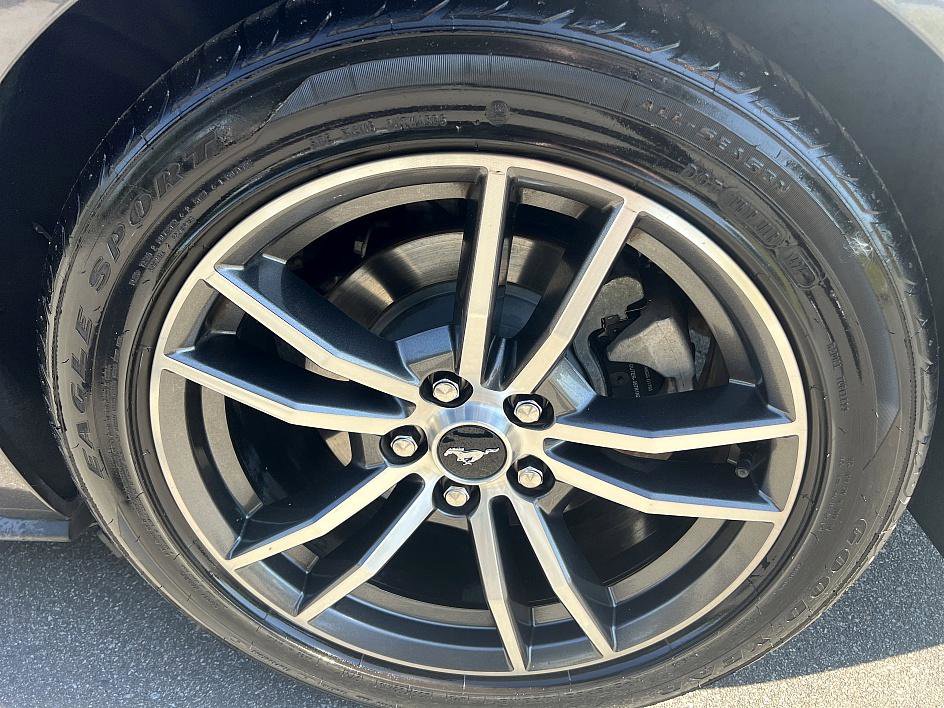 2019 Ford Mustang EcoBoost Premium photo 10