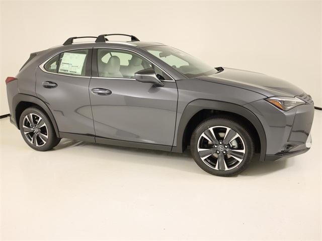 2025 Lexus UX photo 5