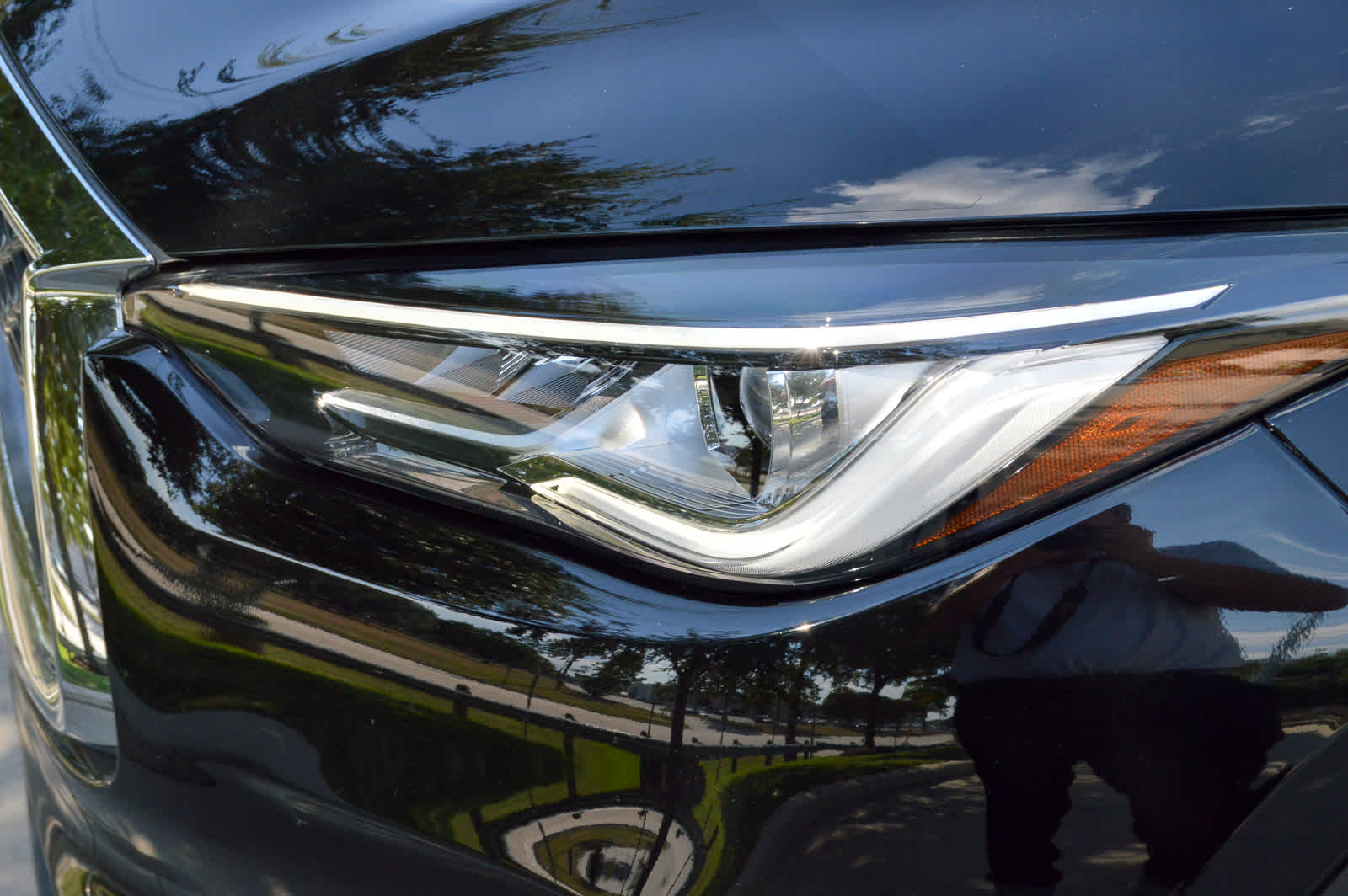 2025 Infiniti QX50 Luxe photo 7