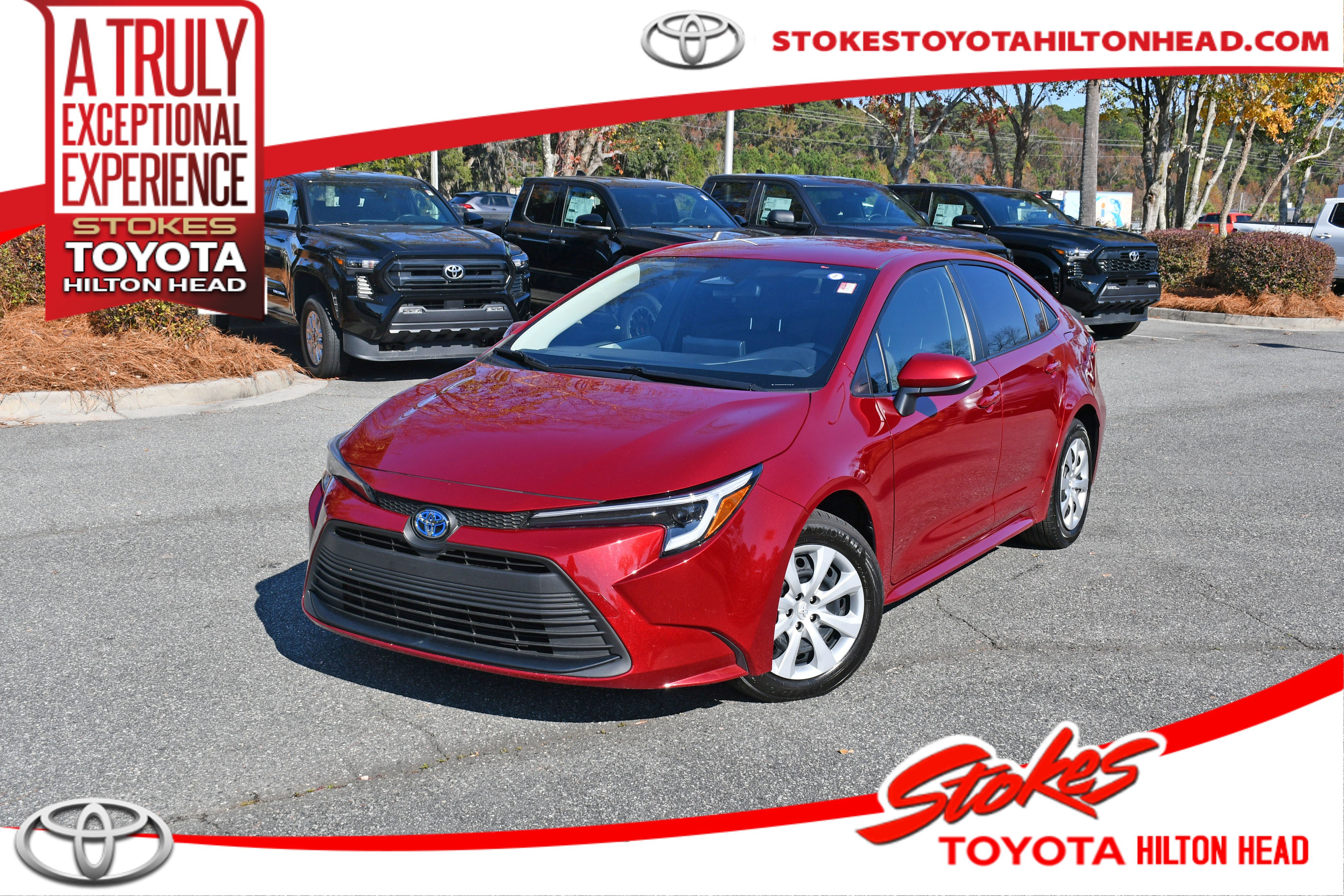 2025 Toyota Corolla LE's photo