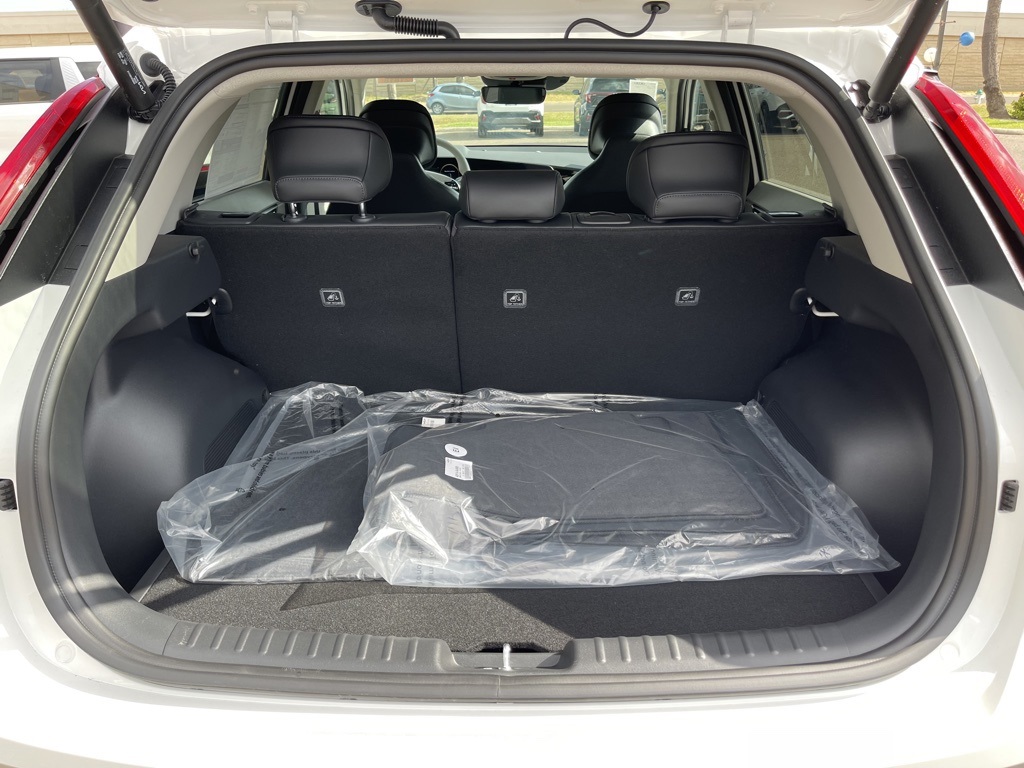 2023 Kia Niro EV Wave photo 9
