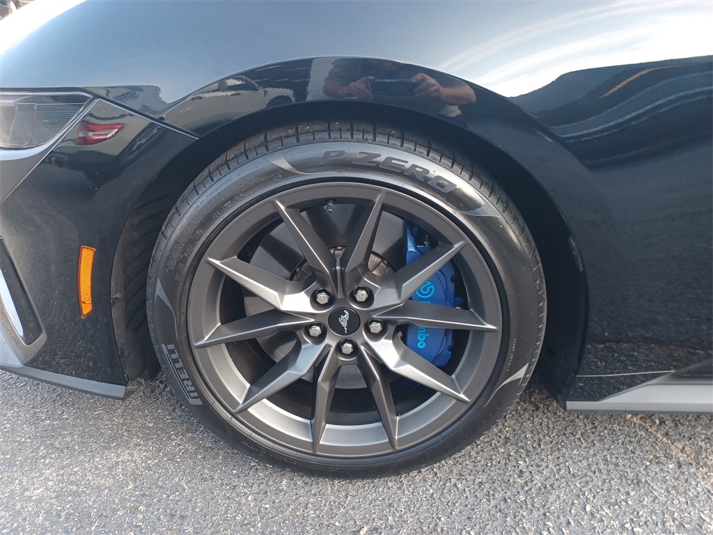 2024 Ford Mustang Dark Horse photo 8