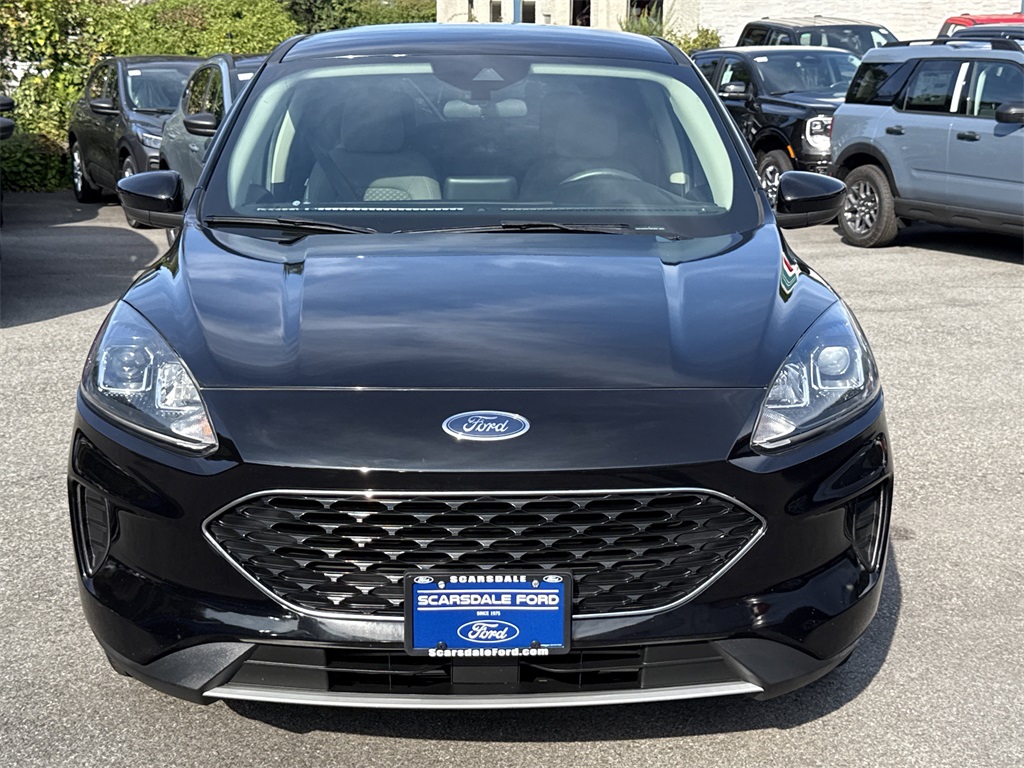 2020 Ford Escape SE photo 2