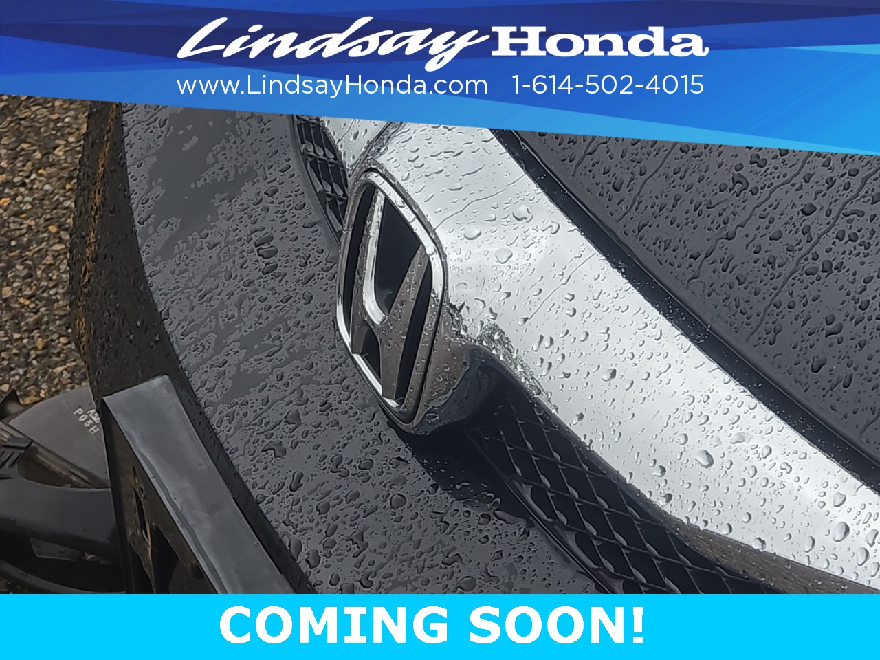 2010 Honda Civic LX photo 3