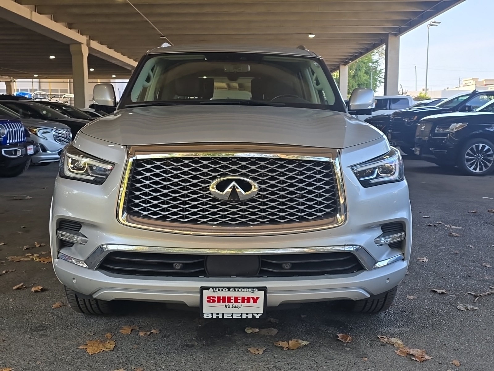 2020 Infiniti QX80 Luxe photo 14