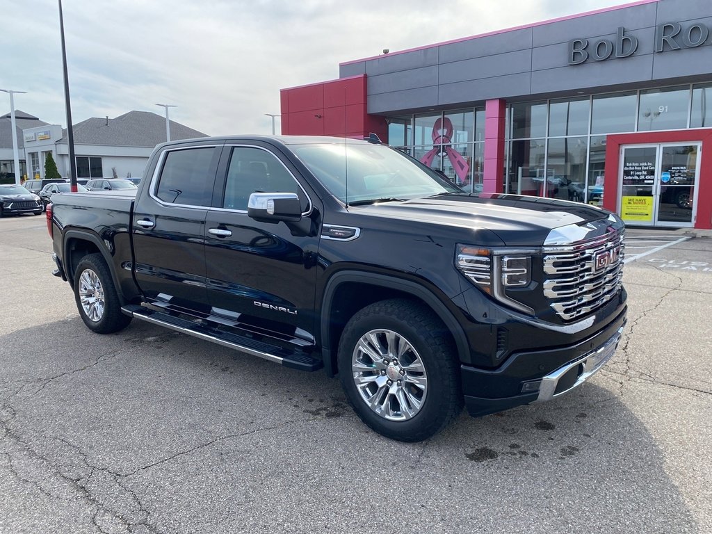 2023 Gmc Sierra 1500 Denali photo 6