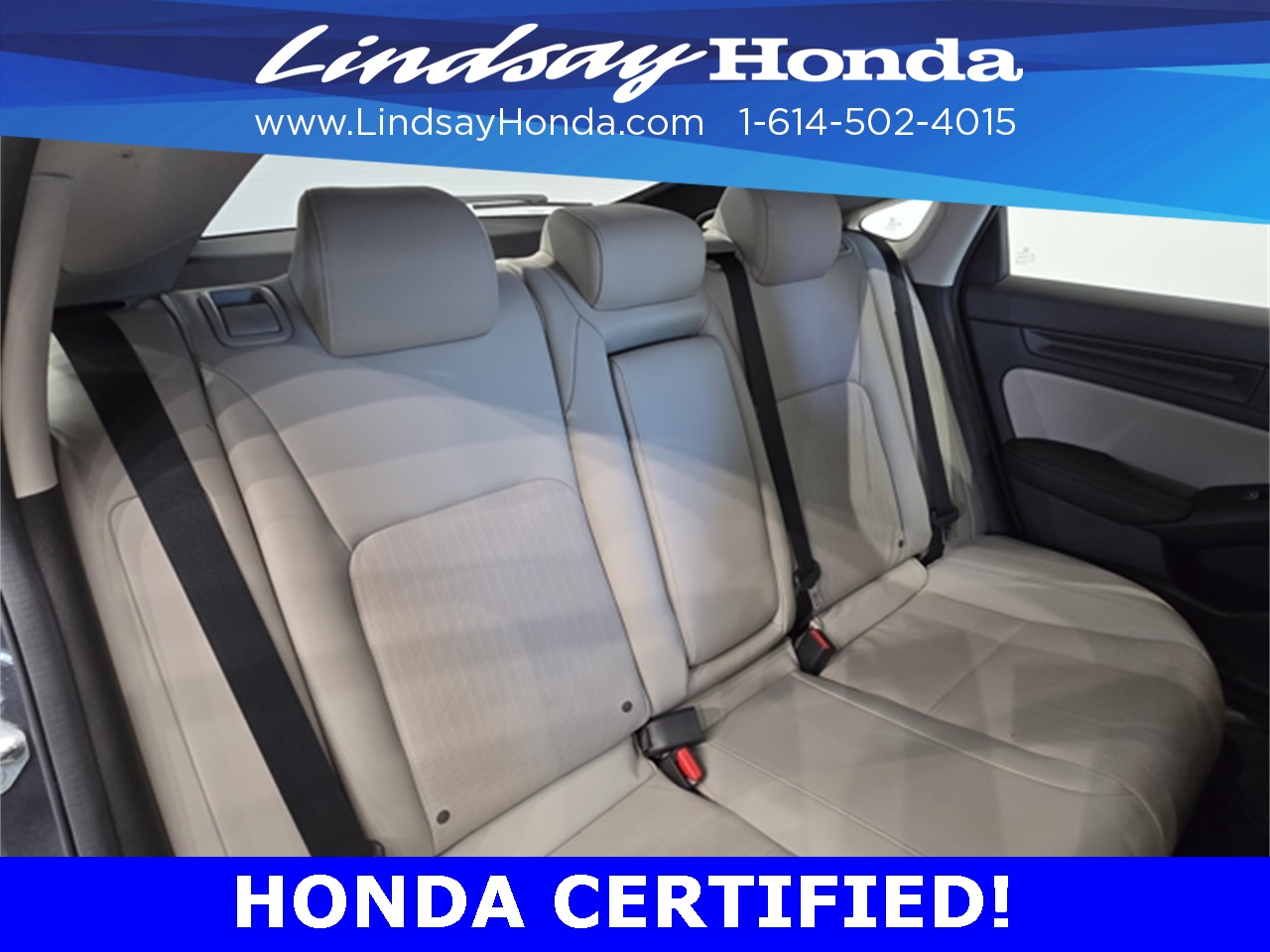2024 Honda Civic Hatchback EX-L photo 5