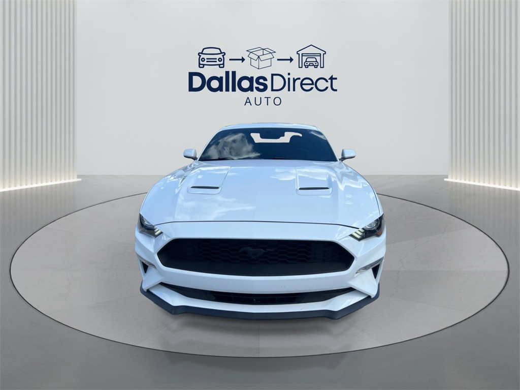 2019 Ford Mustang EcoBoost photo 3