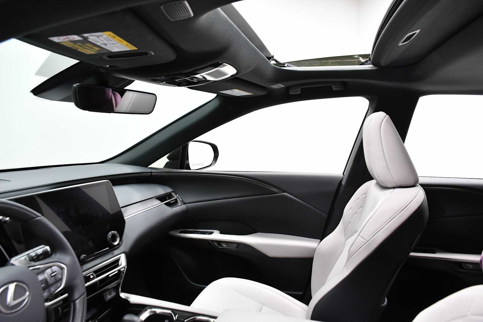 2025 Lexus RX Premium photo 11