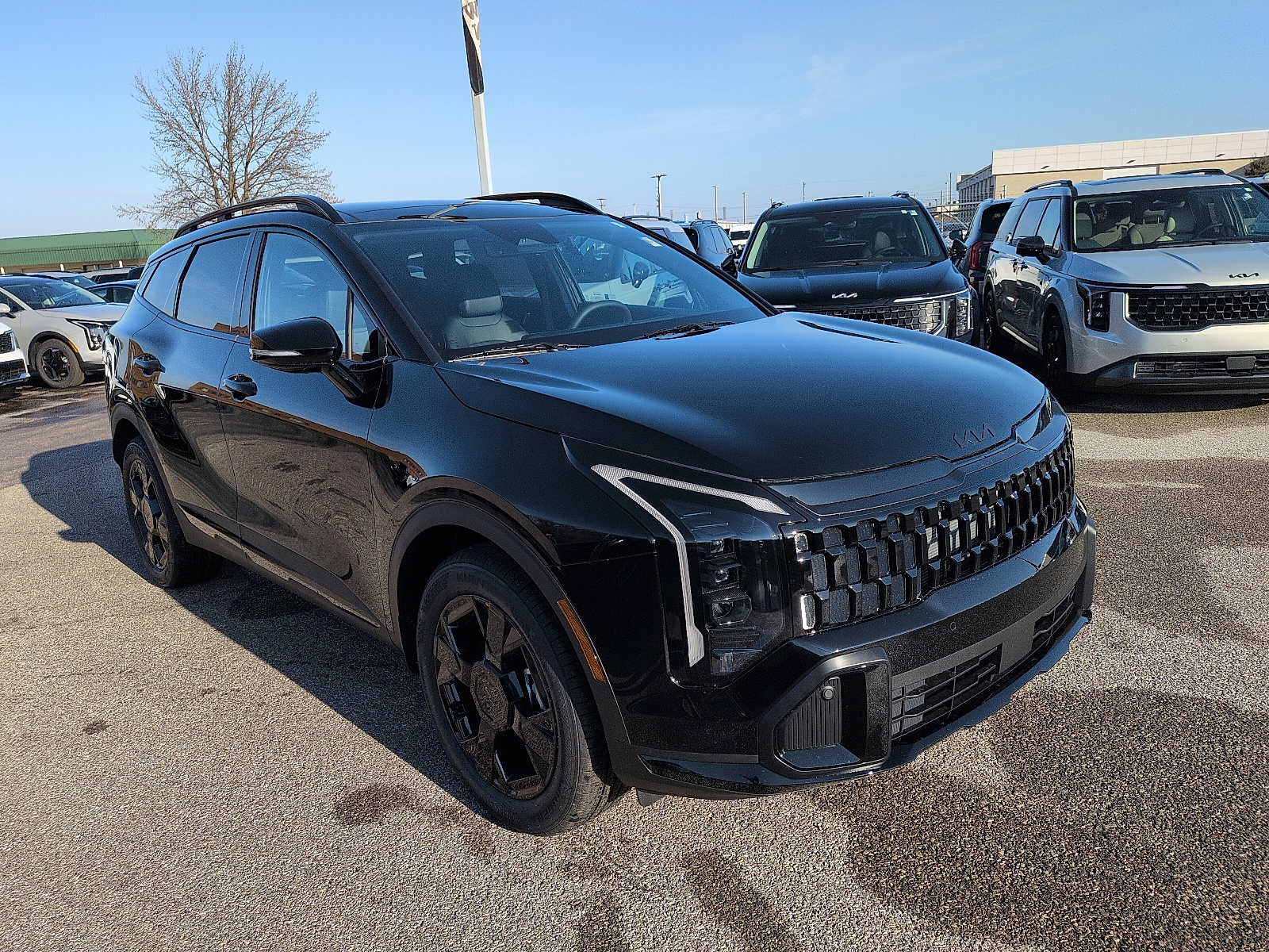 2026 Kia Sportage X-Line's photo